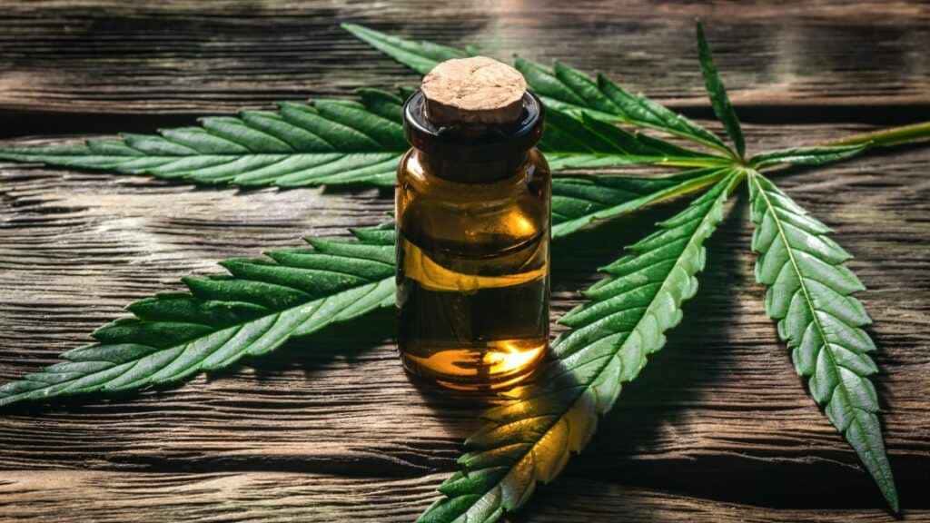 Clínica especializada no tratamento com cannabis: O que é e como funciona?