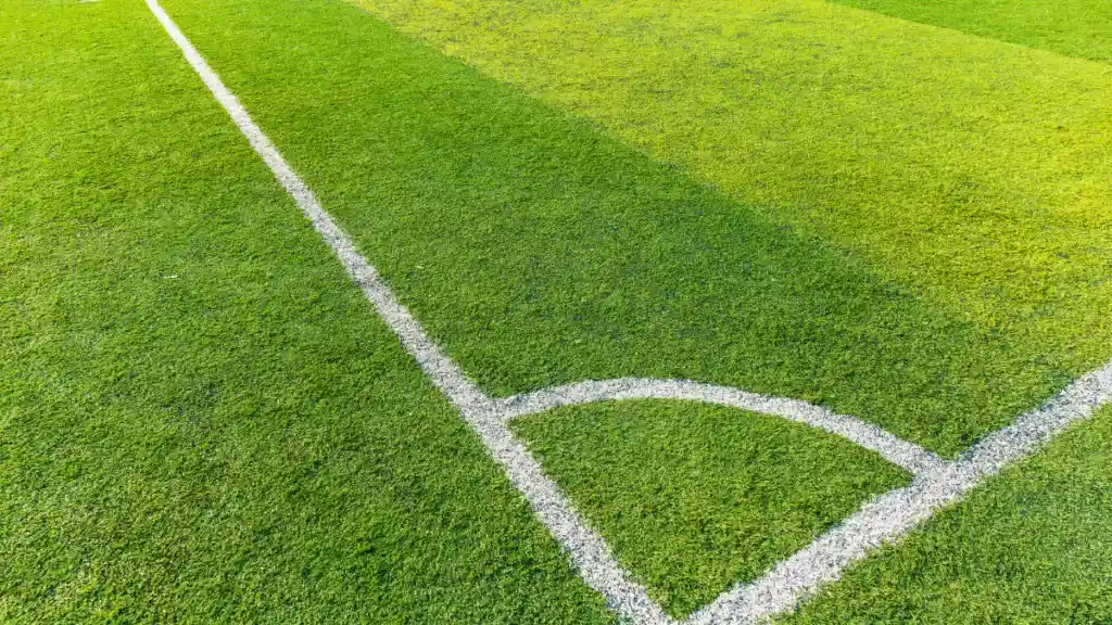 Qual a melhor grama para campo de futebol: Escolha a opção perfeita para seu projeto esportivo Qual a melhor grama para campo de futebol