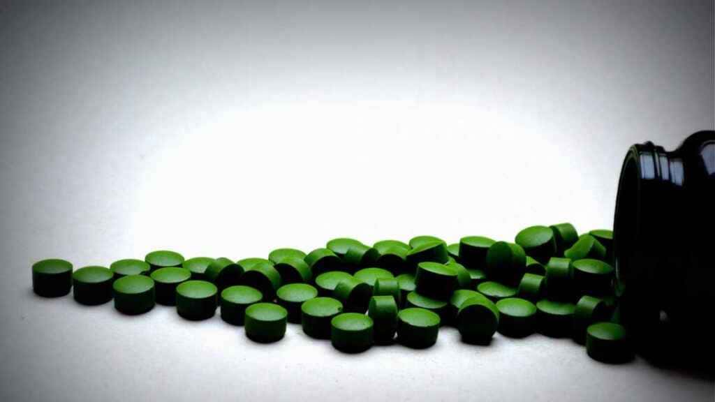 Qual a função da chlorella em nosso organismo? Qual a função da chlorella em nosso organismo