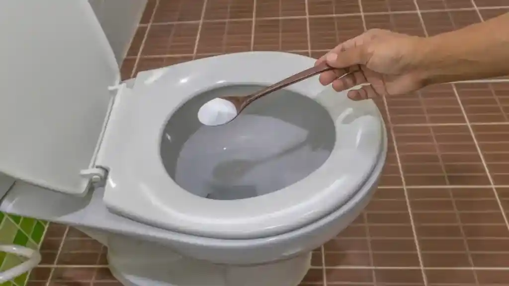 Qual o Melhor Produto para Desentupir Vaso Sanitário: Opções no Mercado Qual o Melhor Produto para Desentupir Vaso Sanitário